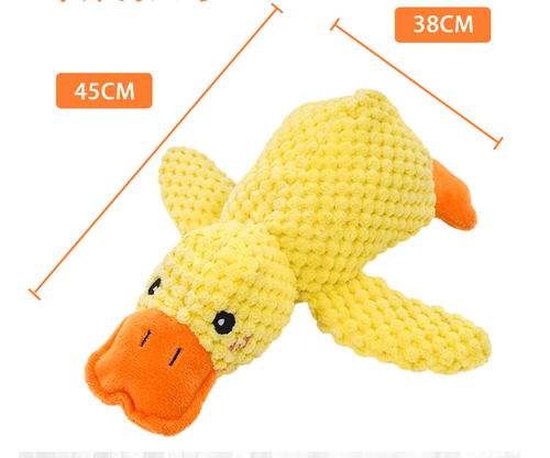 Canard apaisant
